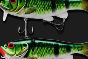 green-bass-lure-1697119600