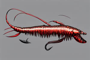 brown-crayfish-lure-1691410350