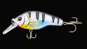 silver-crappie-lure-1736648437
