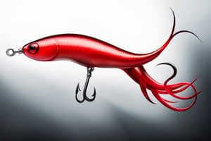 red-squid-lure-1702906970