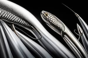 silver-eel-lure-1695589816