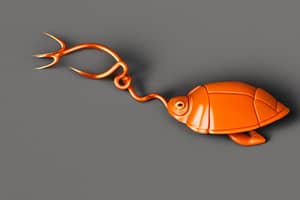 orange-turtle-lure-1675824443