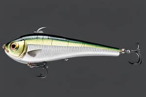 white-shad-lure-1696540623