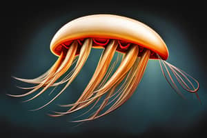 natural-jellyfish-lure-1691110165