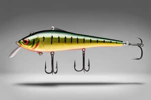 dark-green-perch-lure-1710468815