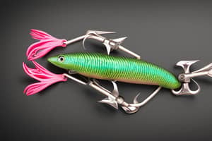 pink-lizard-lure-1690999390