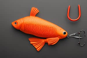 big-head-goldfish-lure-1675824536