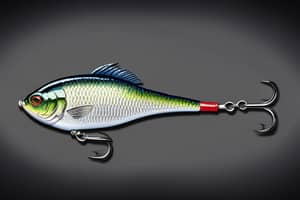 indigo-crappie-lure-1702393849