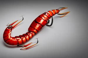 red-prawn-lure-1675824609