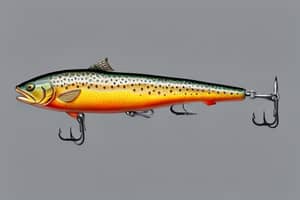 brown-trout-lure-1691010099