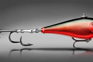red-shad-lure-1696475849