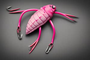 pink-turtle-lure-1690965054