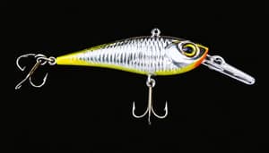 silver-crappie-lure-1737649180