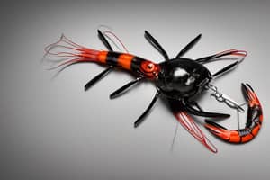 black-prawn-lure