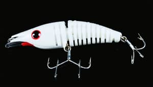 white-cockroach-lure-1741688786