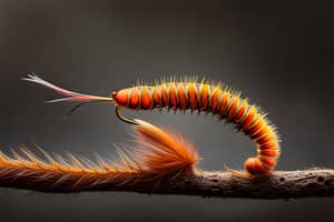 brown-caterpillar-lure-1698966505