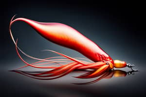 natural-squid-lure-1691006521
