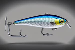 blue-minnow-lure-1698847435