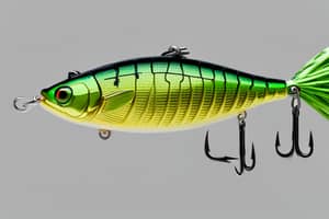 green-bass-lure-1696541208