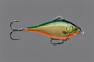 dark-green-bluegill-lure-1693960323