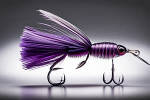 purple-bay-bug-lure-1696475717