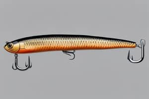 brown-eel-lure-1691166407