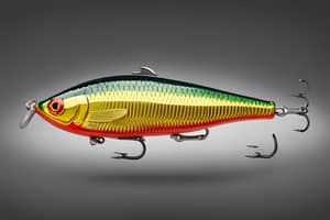 space-perch-lure-1696540965