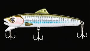 silver-trout-lure-1737648893
