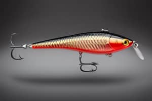 red-shad-lure-1691092251