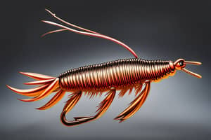 brown-crawfish-lure-1691184212