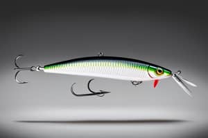 silver-minnow-lure-1711146671