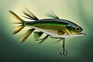 dark-green-bass-lure-1694705332