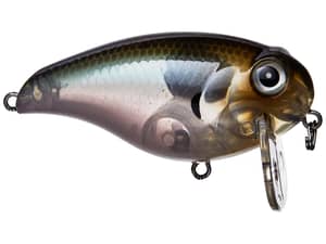 BassMooch Wake Z Crankbaits