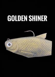  6" Bacca Burrito Medium Sink 