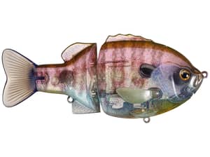 Deps Bullshooter 160 Glide Bait