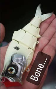 3:16 6'' Popping Freestyle Shad (Pre-Order-Closed)