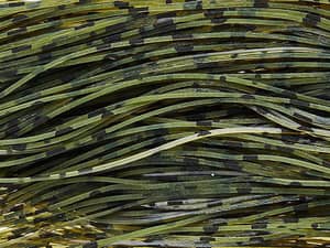 Skirts Unlimited Finesse Series Skirts 10pk