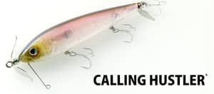  Calling Hustler