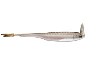 6th Sense Masterclass Strobe Shaker