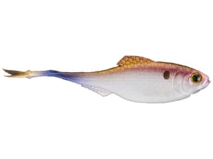 6th Sense Masterclass Fiction Shad