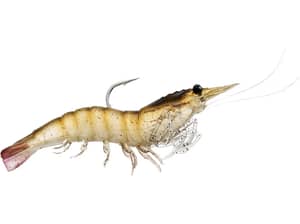 LIVETARGET Rigged Shrimp 4pk