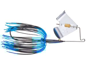 Teckel USA Maxqueaker Pup