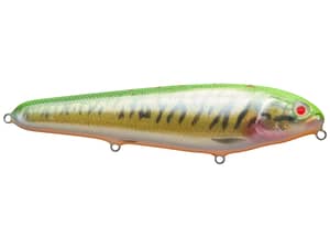 Tomo's Glide Topwater Walking Bait 6"
