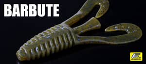 Barbute