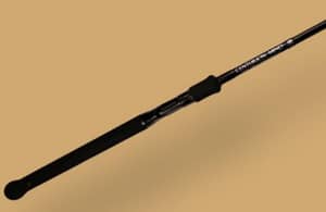 CENTURION MIND -Mother Limited