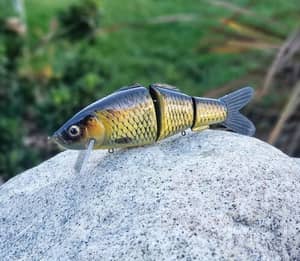 Pizz Swimbait "Baby Carp"