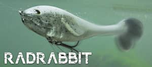 RADRABBIT