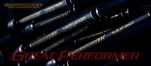 SIDEWINDER GREAT PERFORMER