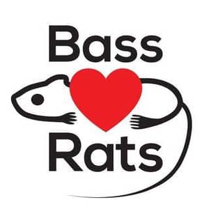 Bass Love Rats