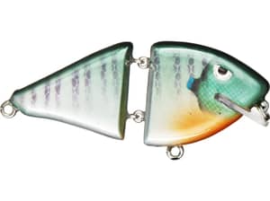 Catchem Caro Henrietta J Wakebaits